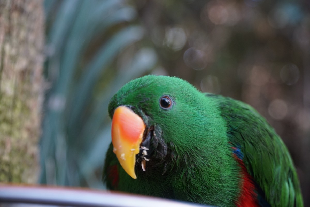 tell the world I’m coming&nbsp;home